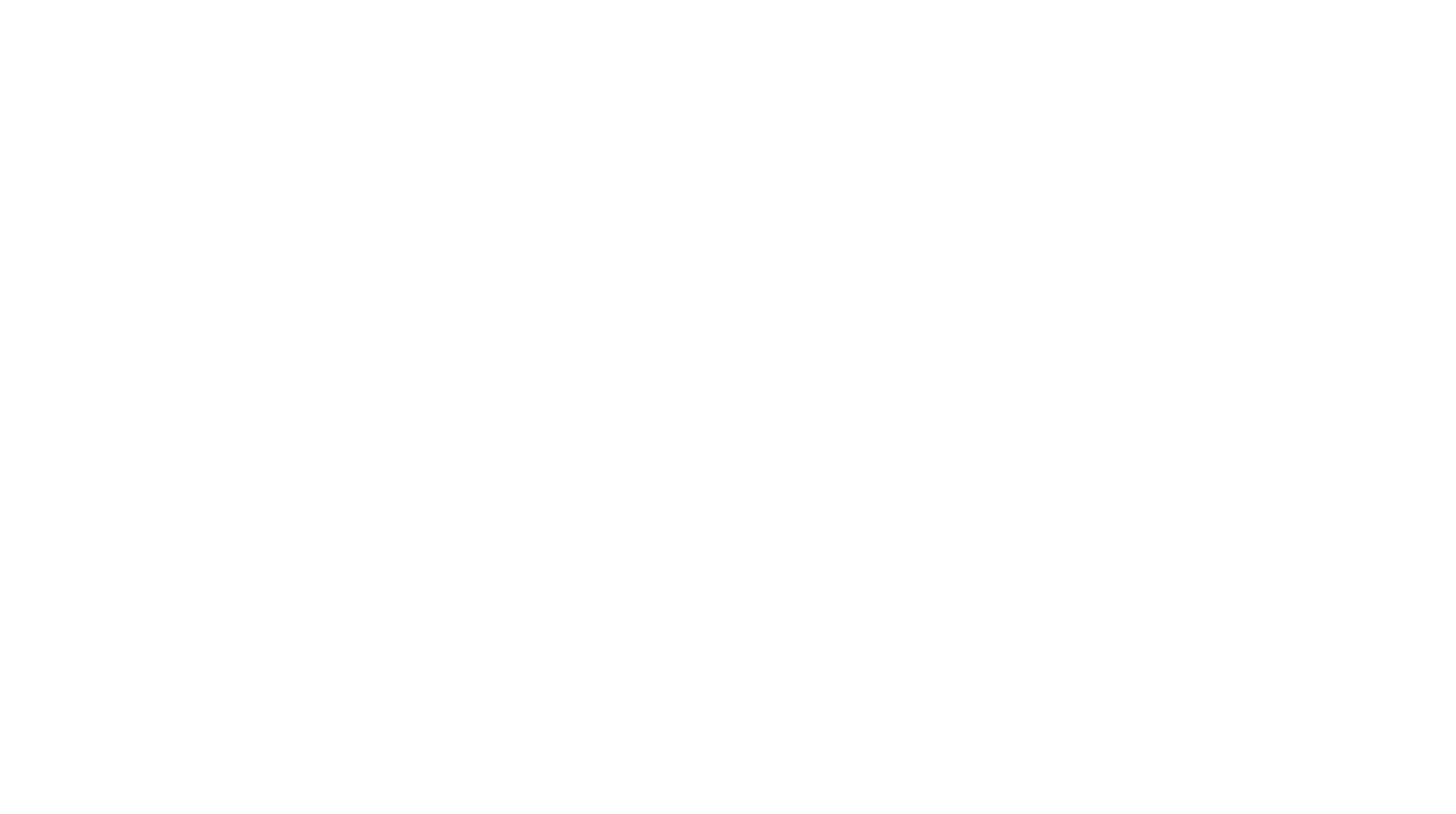 DigitAP logo